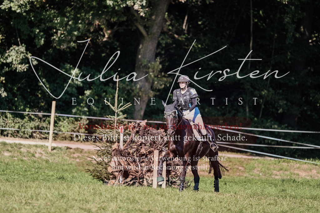 DSC_3518 | Pferde- und Turnierfotografie in Westsachsen. Pferdeportraits, Auftragszeichnungen und intuitive Kunst.