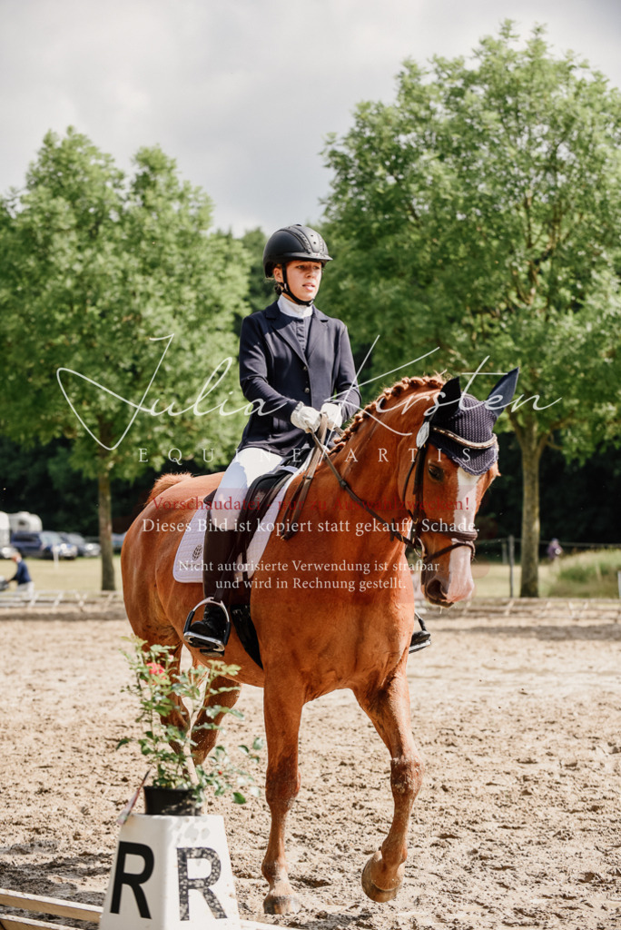 DSC_0017 | Pferde- und Turnierfotografie in Westsachsen. Pferdeportraits, Auftragszeichnungen und intuitive Kunst.