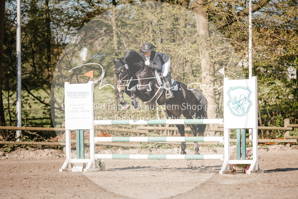 3I6A3699 | Stimmungsvolle Portraits und Reitsportfotografie im Ruhrgebiet und im Münsterland.

Pferdefotografie, Hundefotografie, Tierfotografie, Reportagen, Portraits von Tier und Mensch, Turnierfotografie in Bochum, Recklinghausen, Marl, Haltern am See, Dülmen.. - Realisiert mit Pictrs.com
