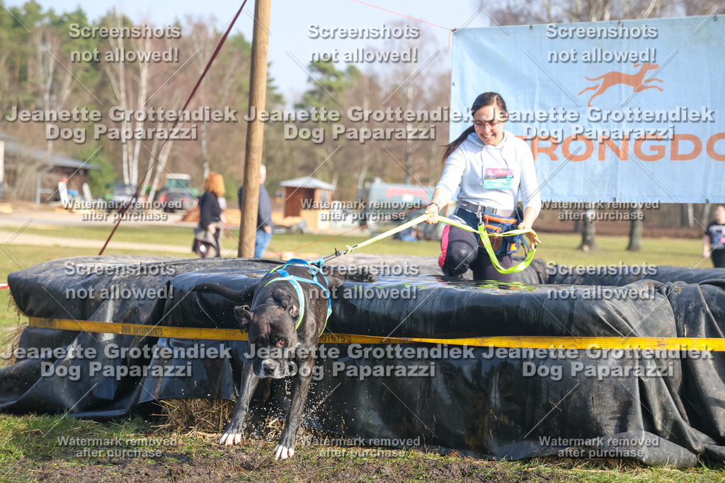 Dog Paparazzi - Strongdog North Mrz26-2270 | Dog Paparazzi Jeanette Grottendiek Fotografie & Videografie - Realisiert mit Pictrs.com