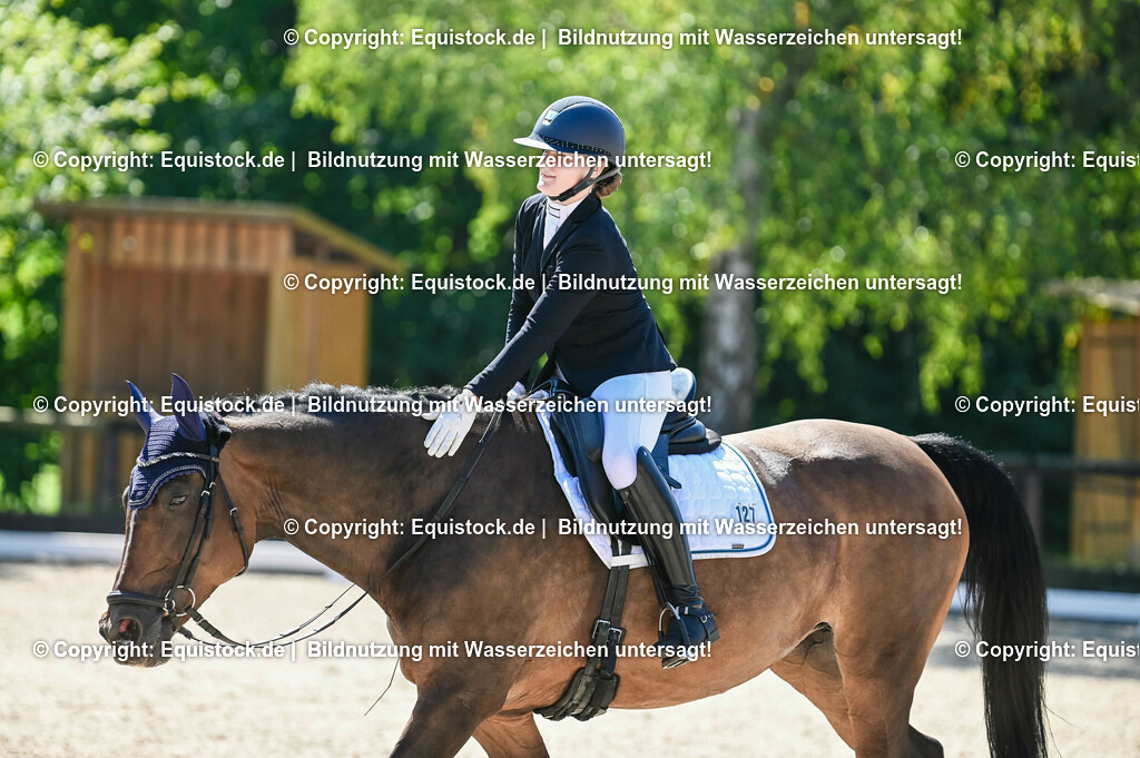 20230908_06_Dressur-L-Trense_0504 | equistock