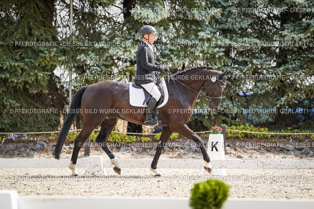 DSC08697 | Pferdegrafie