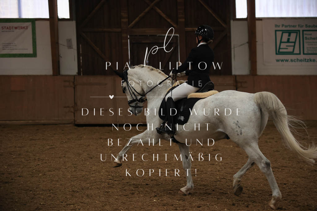 IMGT9206 | pl-fotografie