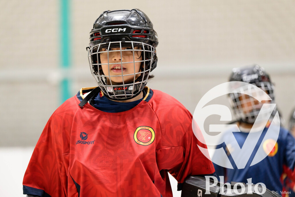 DZ9_2246 | Velletri Photo