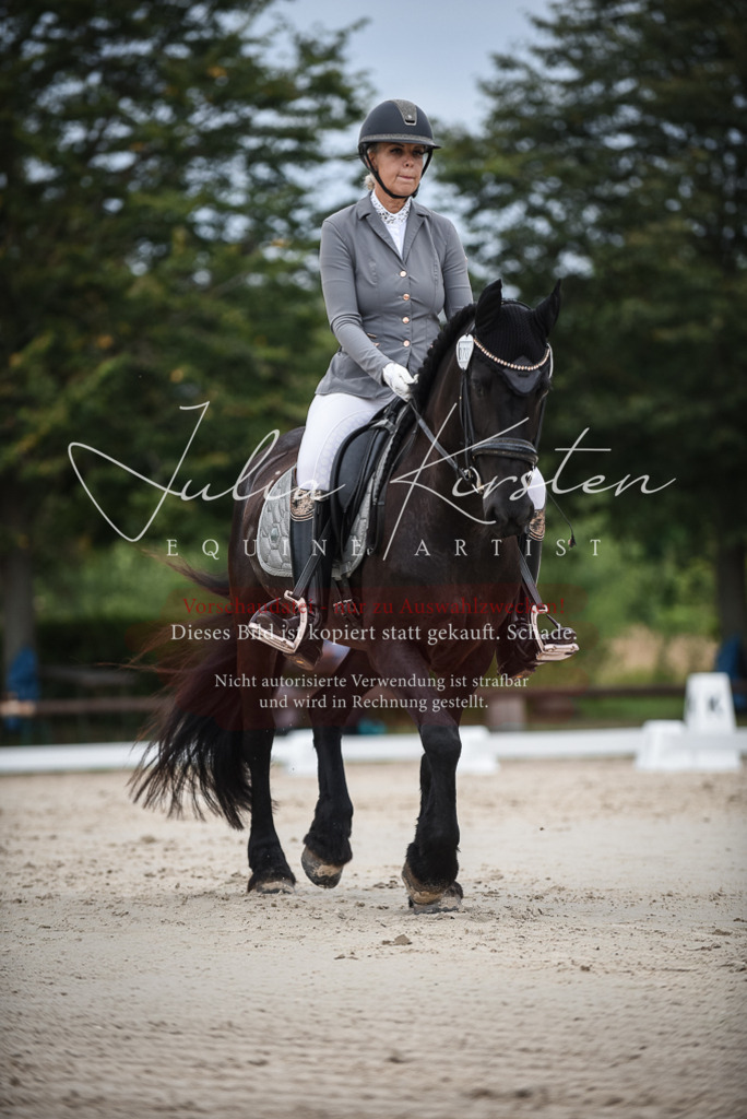 DSC_8301 | Pferde- und Turnierfotografie in Westsachsen. Pferdeportraits, Auftragszeichnungen und intuitive Kunst.