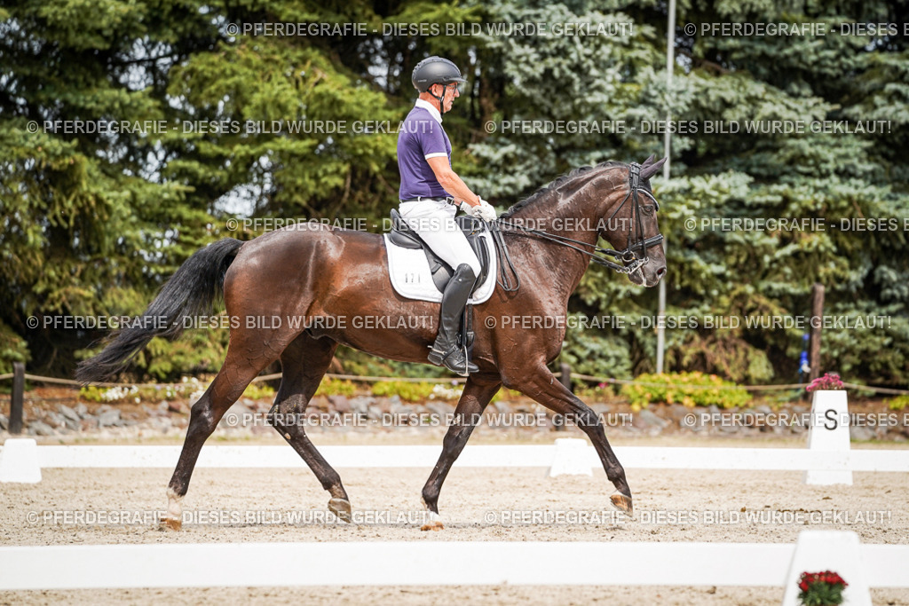 DSC06305 | Pferdegrafie