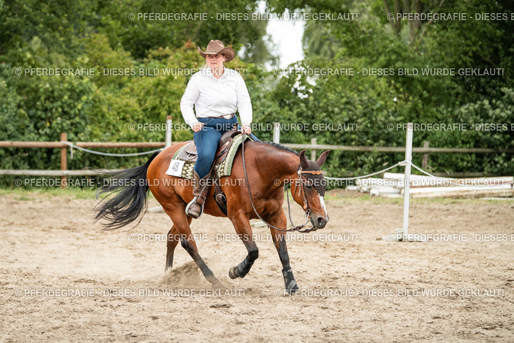 DSC04471 | Pferdegrafie