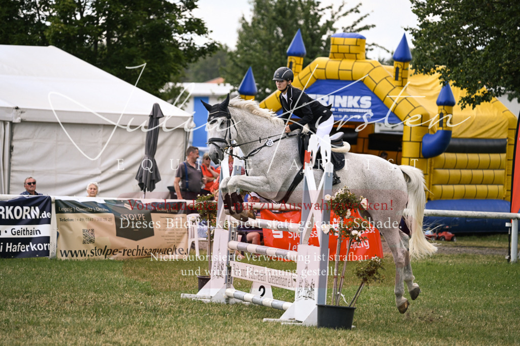 DSC_0966 | Pferde- und Turnierfotografie in Westsachsen. Pferdeportraits, Auftragszeichnungen und intuitive Kunst.