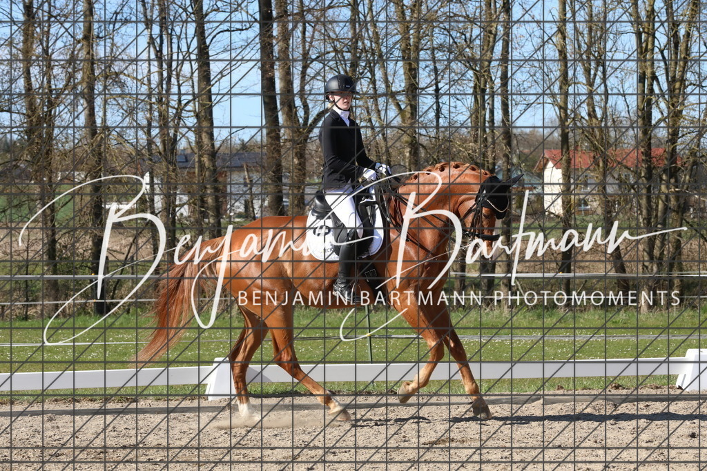 AZ2A5281 | Benjamin Bartmann Photomoments