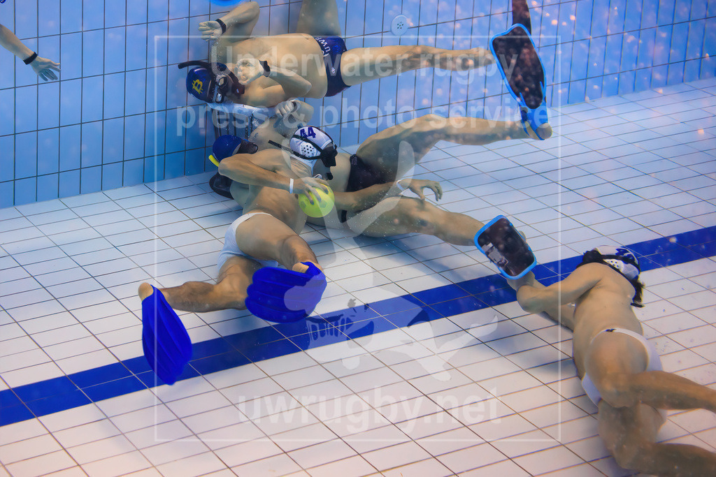 Underwater rugby action press picture | Bamberg, Germany - March 04 2023: Underwater rugby training camp of the Tauchclub Bamberg together with the Austrian national team. - Realisiert mit Pictrs.com