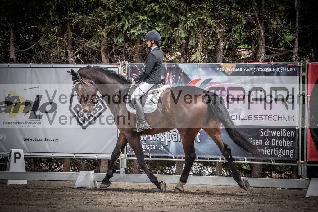 DSC_2291 | equestrian-live-com