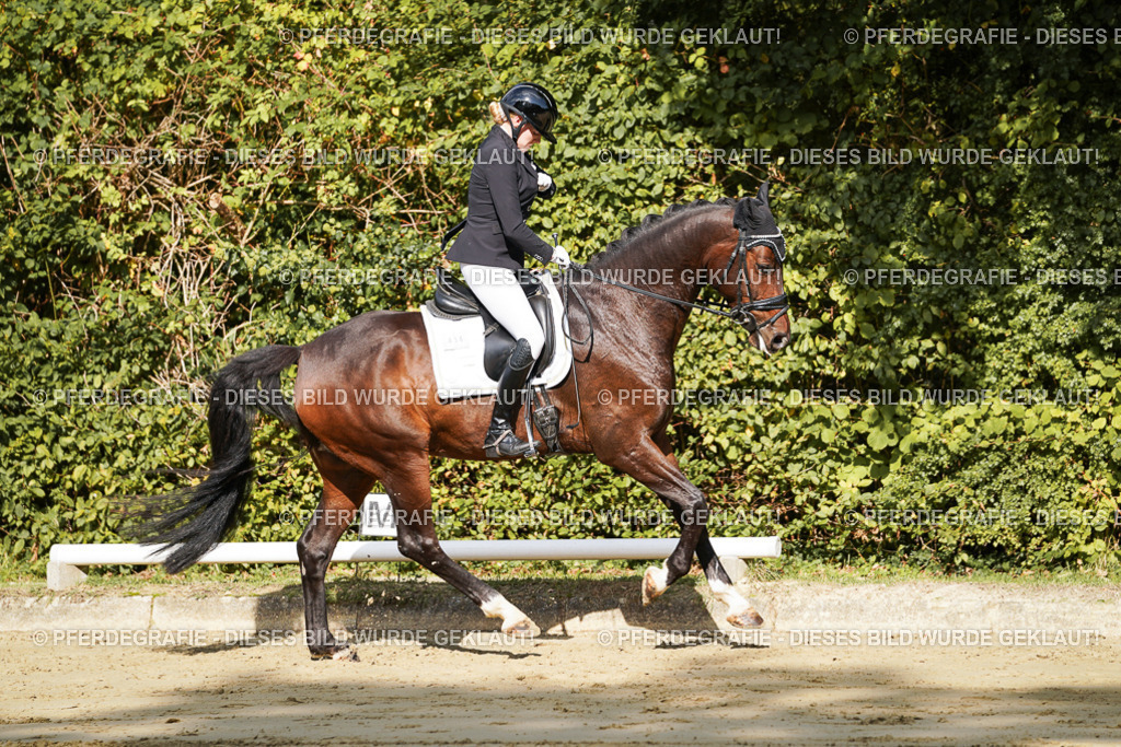 DSC07749 | Pferdegrafie