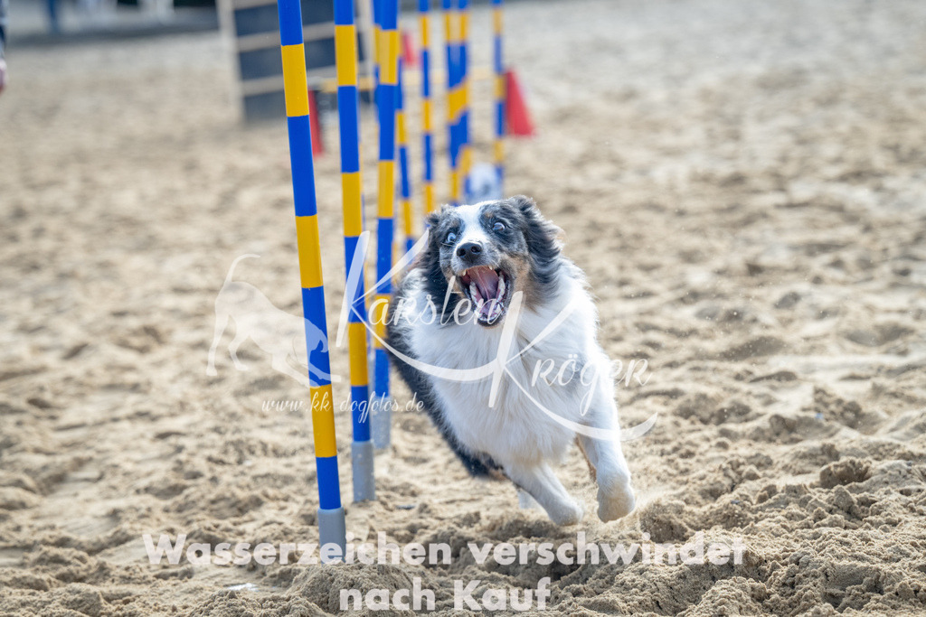 0958_ZZ93223 | kk-dogfotos