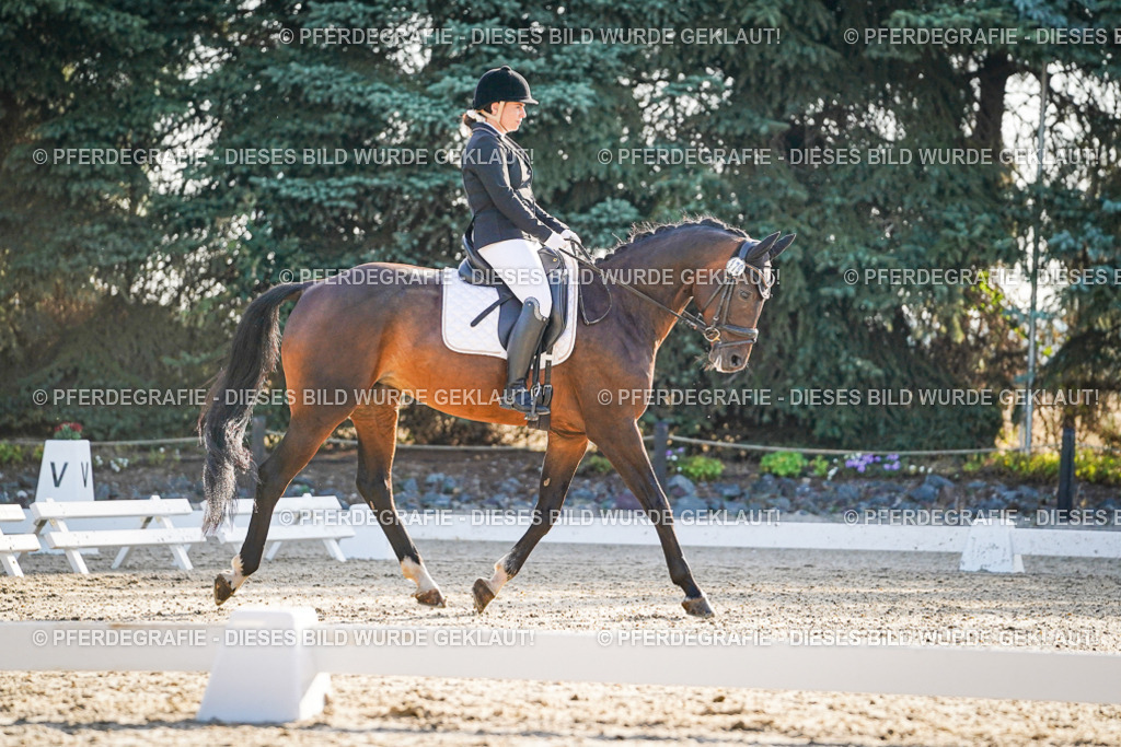 DSC07971 | Pferdegrafie