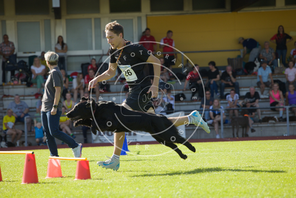 0L8A8683 | Hundefotografie, Tierfotograf, Pfotenfotografie, Fotoshooting Hund, Hunde Portrait, Hundesport, Hundeportraits, Heideshooting, Hunde, Sportfotograf, Hundefotograf, Turnierhundsport, THS,  - Realisiert mit Pictrs.com