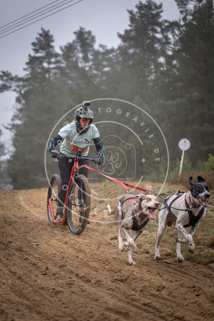 Pfotenfotografie_DV3A0961 | Hundefotografie, Tierfotograf, Pfotenfotografie, Fotoshooting Hund, Hunde Portrait, Hundesport, Hundeportraits, Heideshooting, Hunde, Sportfotograf, Hundefotograf, Turnierhundsport, THS,  - Realisiert mit Pictrs.com