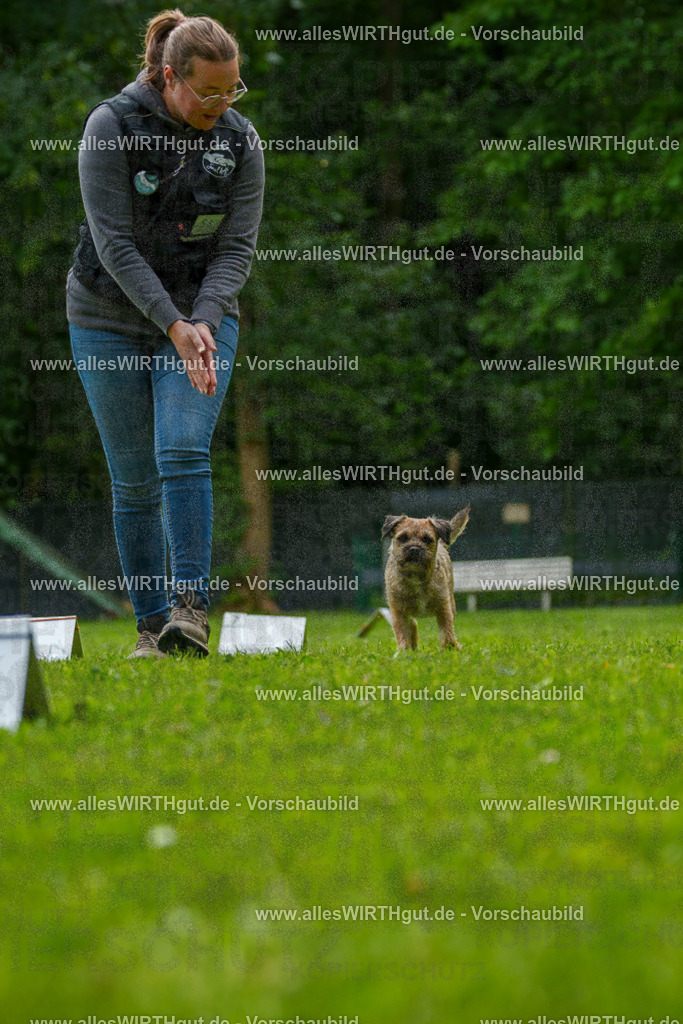 @allesWIRTHgut_Tierfotografie - www.allesWIRTHgut.de - 7R501948 | Professionelle Tierfotografie in Mönchengladbach von Daniel Wirth (allesWIRTHgut). Liebevolle & natürliche Bilder von Hunden & Katzen für unvergessliche Erinnerungen.
