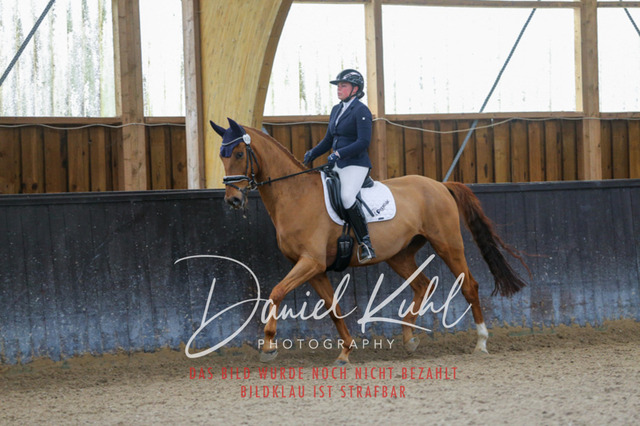 IMG_0314 | Deine Turnierfotos vom Reitturnier online kaufen: Dressur, Springen & Siegerehrung. Professionelle Pferdefotografie aus dem Rheinland – als Download & Print.Alternative: Turnierfotograf für den Pferdesport: Finde deine Fotos von Dressur- und Springturnier