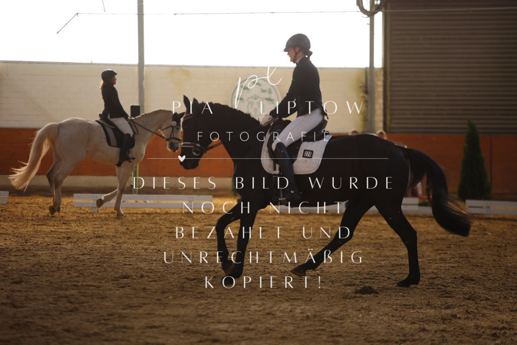 IMGT6537 | pl-fotografie