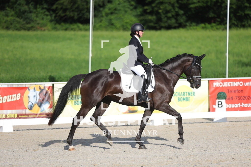 0P6A4267 | Willkommen bei Brunnmayr - Design & Fotografie – Ihrem Spezialisten für Reitturniere und Pferdeveranstaltungen in Oberösterreich, Salzburg und Bayern! Seit über 17 Jahren sind wir leidenschaftlich dabei.