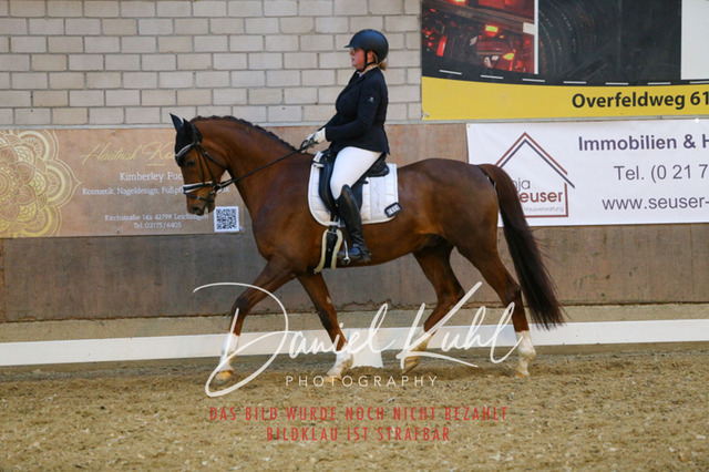 IMG_2961 | Turnierfotos kaufen im Webshop von Daniel Kuhl Photography – entdecke professionelle Reitsportfotos aus Turnieren & Events. Hochwertige Turnierbilder online bestellen & sichern. Jetzt Fotos von Reitsportturnieren kaufen!