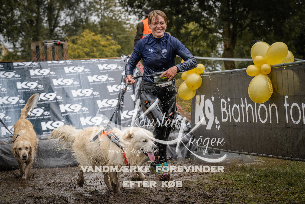 1113_ZZ92238 | kk-dogfotos
