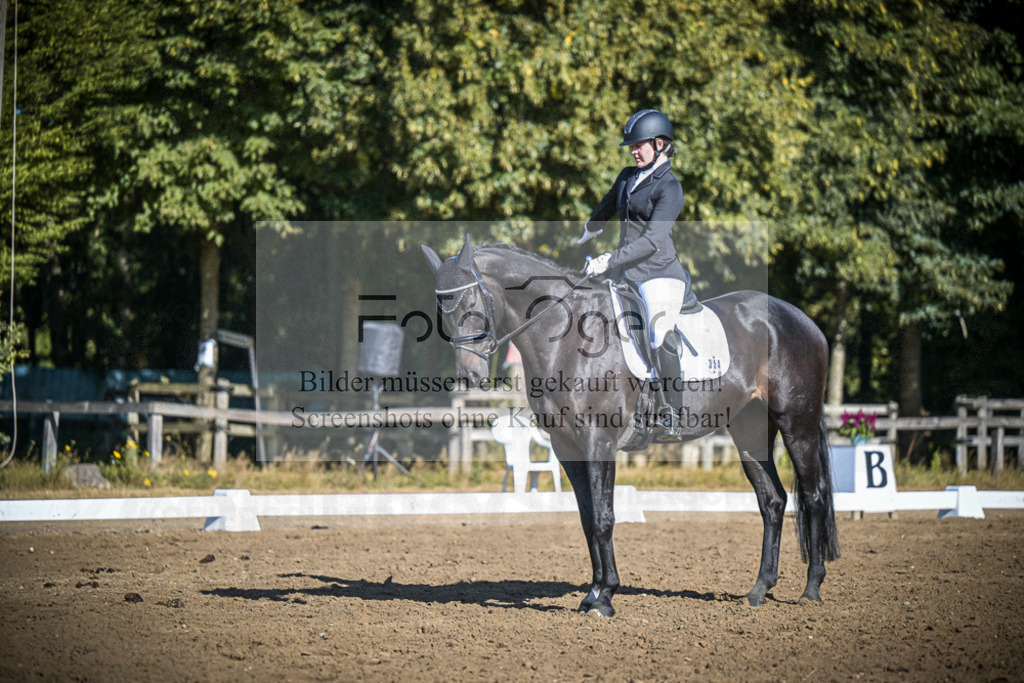 DOS_1677 | Entdecke hochwertige Reitturnierfotos von Foto Oger. Professionell, emotional und authentisch – jetzt Lieblingsmomente im Shop bestellen.Deutschlandweite Turnierfotografie. - Realisiert mit Pictrs.com
