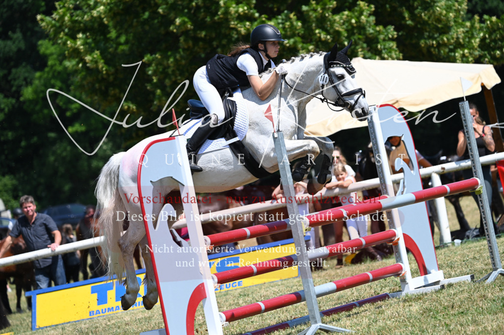 DSC_0844 | Pferde- und Turnierfotografie in Westsachsen. Pferdeportraits, Auftragszeichnungen und intuitive Kunst.