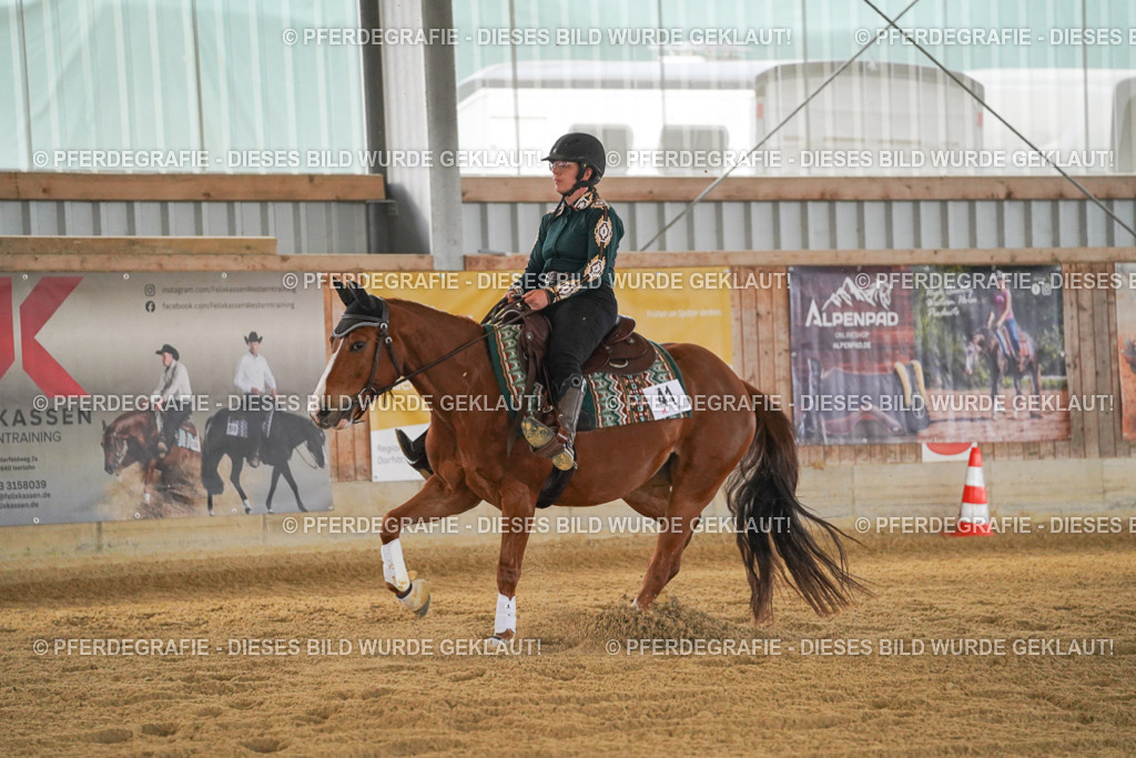 DSC08153 | Pferdegrafie