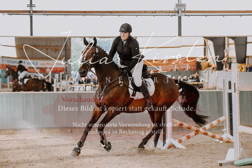 DSC_7475 | Pferde- und Turnierfotografie in Westsachsen. Pferdeportraits, Auftragszeichnungen und intuitive Kunst.