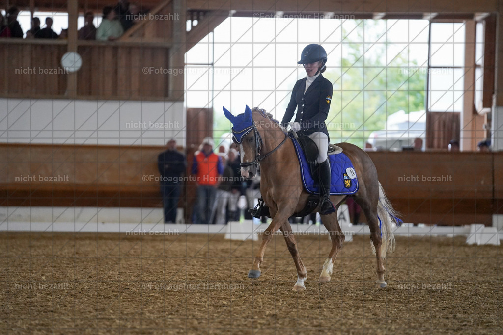 20240825-FAH09199 | Turnierbilder, Reitsportfotos, LAPO, Landesponyturnier, Turnierfotografen Bayern