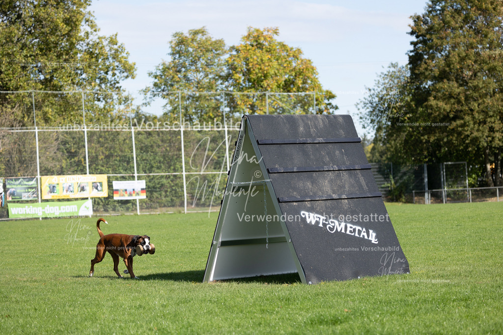 _16A6967 | Einzigartige Fotos von Hunden & Menschen –Actionfotos, Portraits, Vereinsaufnahmen & Paarshootings – authentisch, lebendig & mit Herz.