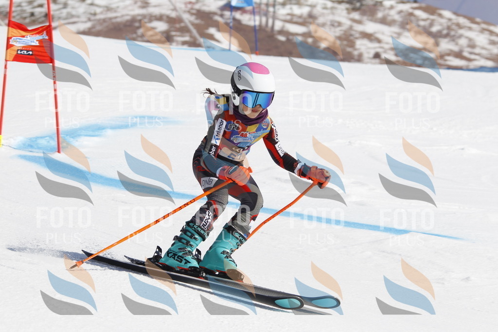 _U3G9550 | holidayphoto