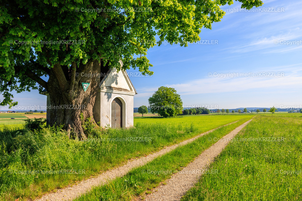 _J3A7822 | medienkrizzler - Realisiert mit Pictrs.com