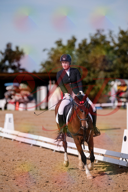 2026_10_03_Siefer-Hof_115754_Z81_99572099 | Professionelle Reitsport-, Turnier- und Eventfotografie von Robert Broda. Galerien mit ausgewählten und bearbeiteten Bildern direkt online ansehen und bestellen.