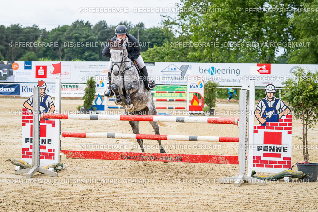 DSC04828 | Pferdegrafie