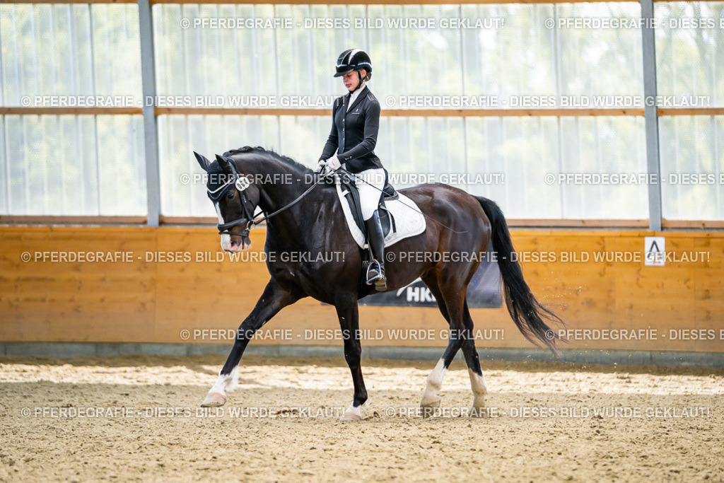 DSC05857 | Pferdegrafie