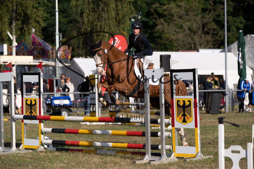 A7V08168 | Pferdefotograf