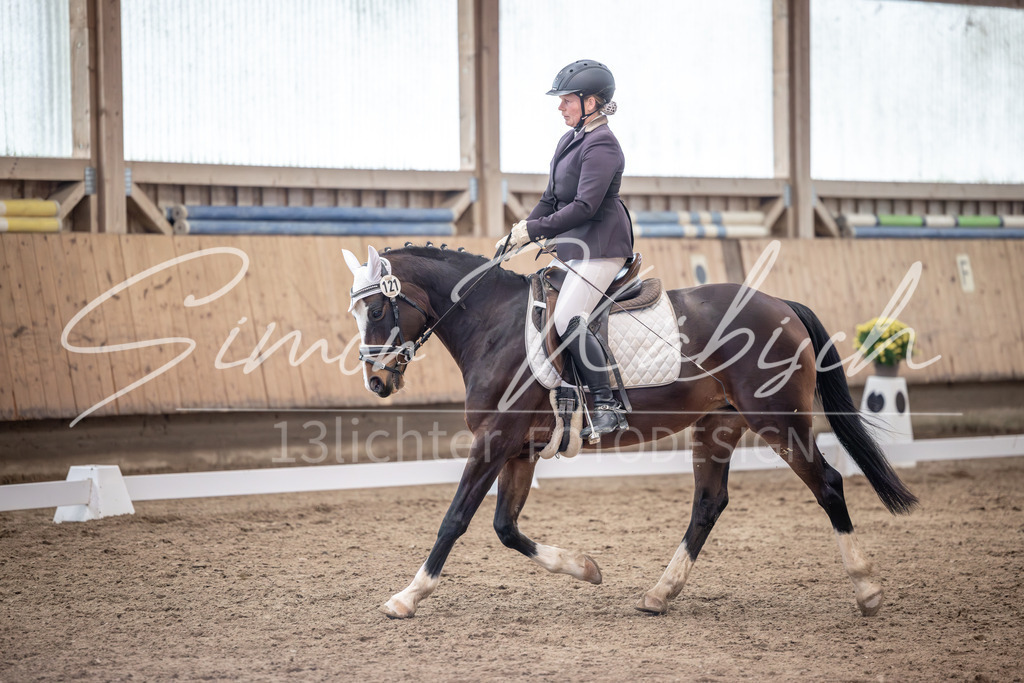 20251011-_3LI0531 | Tierfotografie Pferde, Hunde, Katzen, Haustiere.
Turnierfotografie Reitturniere, Reiten, Springreiten, Dressur in Hanau, dem Main-Kinzig-Kreis und dem Rhein-Main- Gebiet um Frankfurt
