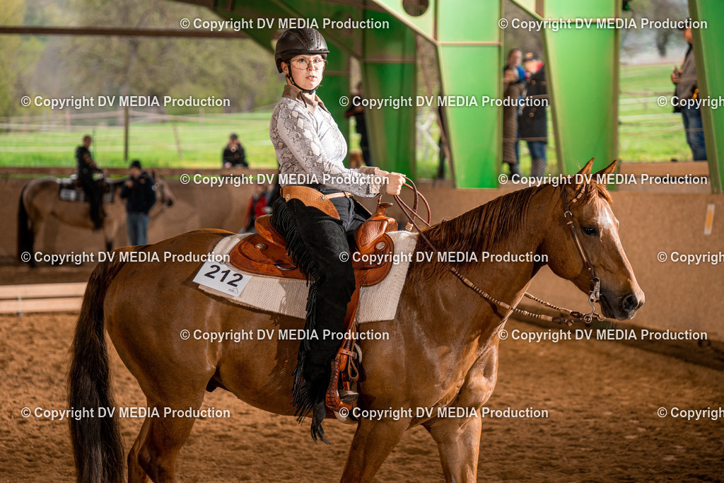 BAL00250 | dv-media-shop - Realisiert mit Pictrs.com