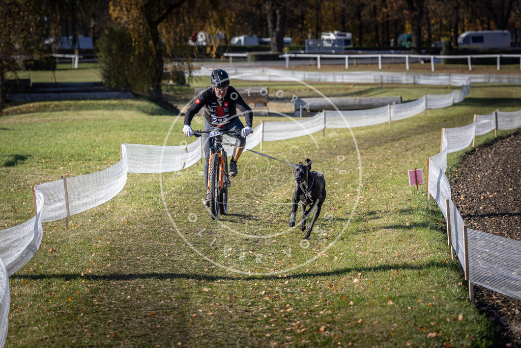 CaniXpix_DV3A5856 | Hundefotografie, Tierfotograf, Pfotenfotografie, Fotoshooting Hund, Hunde Portrait, Hundesport, Hundeportraits, Heideshooting, Hunde, Sportfotograf, Hundefotograf, Turnierhundsport, THS,  - Realisiert mit Pictrs.com