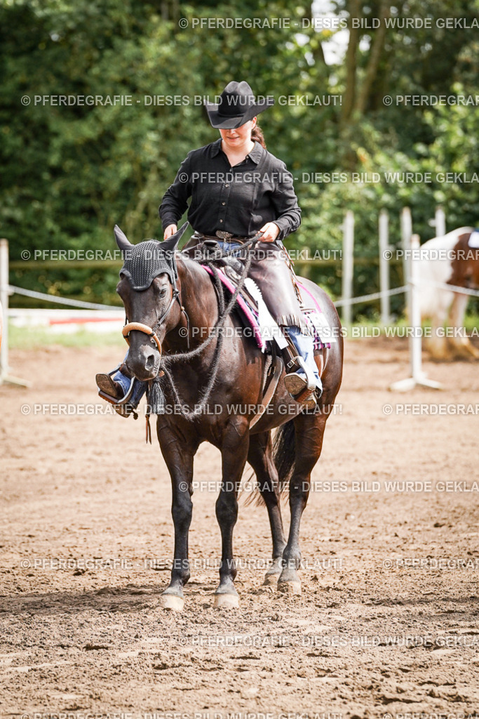 DSC07492 | Pferdegrafie