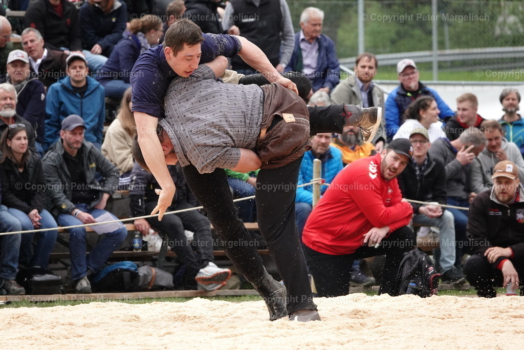 DSC03320 | Schwingen - Realisiert mit Pictrs.com