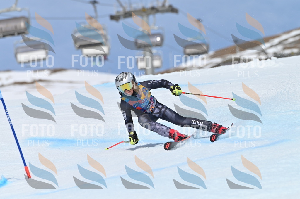 BGV_1415 | holidayphoto