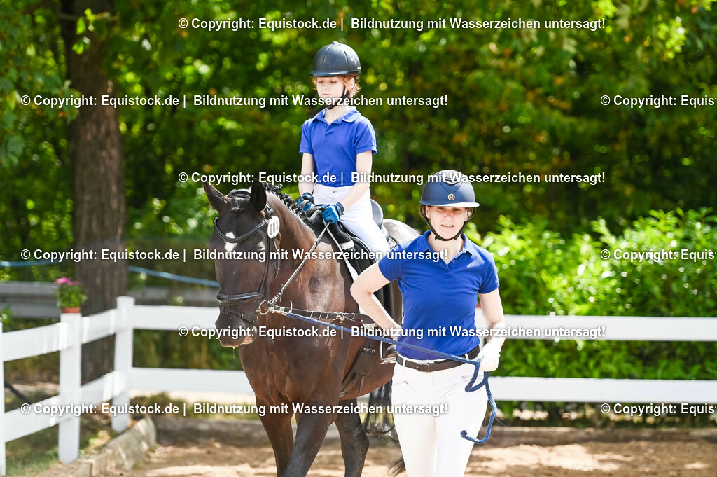 20230716_11_Führzügel-WB_0060 | equistock
