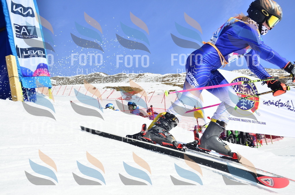 _ELE0431 | holidayphoto