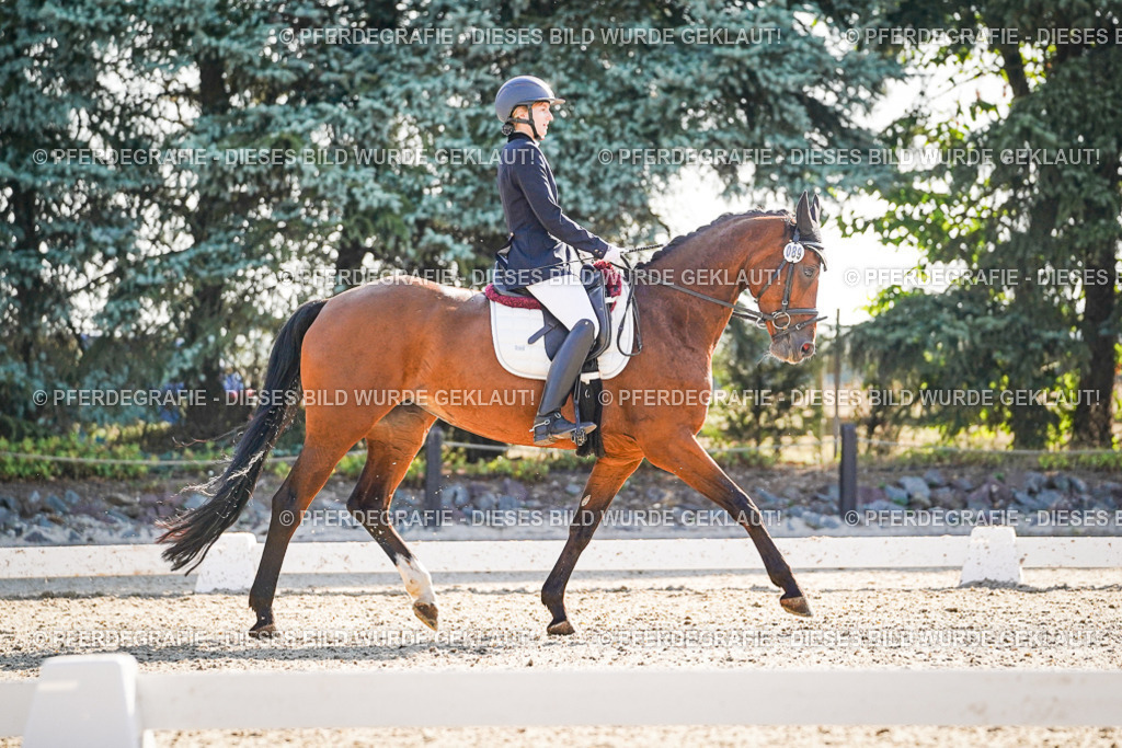 DSC09273 | Pferdegrafie