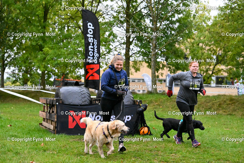 DSC_1186 | Hallo und herzlich Willkommen auf meiner Shop-Seite Fynn Most.

Ich wünsche Dir viel Spaß beim stöbern durch die Bilder, wenn Du Fragen hast oder Bilder vermisst, kannst du mir gerne eine Nachricht schreiben. - Realisiert mit Pictrs.com