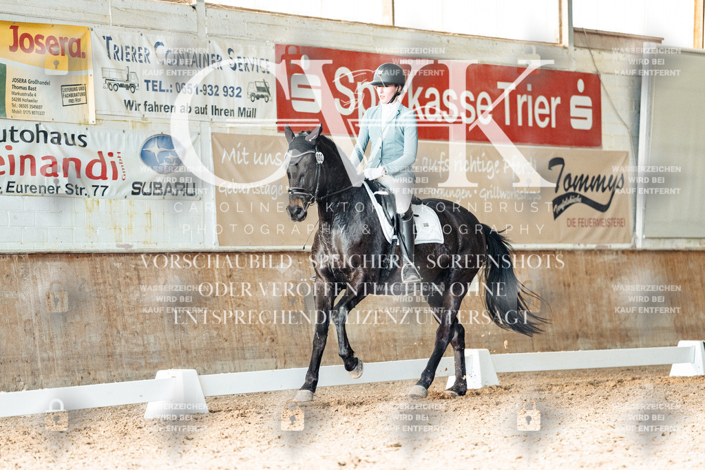 CK903231 | Turnierfotografie Pferdefotografie Trier Rheinland-Pfalz Pferdesport Reitsport Tierfotografie Sportfotografie Pferdevideo Pferdevideografie Equestrianvideography equestrianphotography  - Realisiert mit Pictrs.com