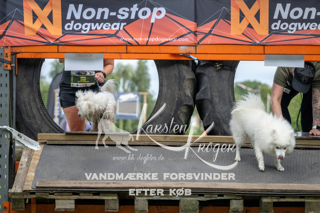 1209_ZZ93517 | kk-dogfotos